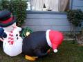 videos de horny snowman