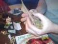 Rolling a thick joint by monstersleague.