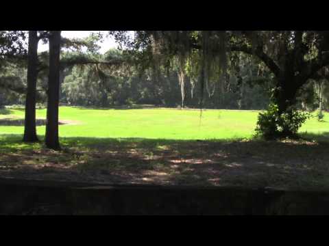 23.77 acres Perry, FL