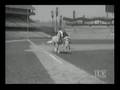 Mister Ed and the Dodgers