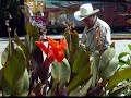 CULIACAN SINALOA MEXICO CULIACAN SINALOA MEXICO