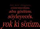 Videoyu Görüntüle
