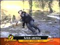 Paperissima - videi amatoriali 14\\11\\08
