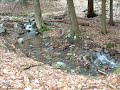 NATURE NATURE