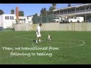 How to teach your dog to \"Heel\".