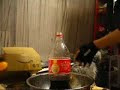 コーラにメントス coke in mentos