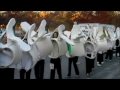 Palmer College at the Turkey Trot