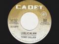Terry Callier