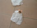 (uploaded by f2knpw)&nbsp;it works so well. Just roll paper on it & sparkle