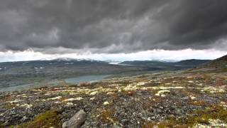 Natura Siberica - TV spot