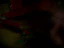 100_0646.MOV