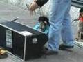 PUPPET PERFORMER