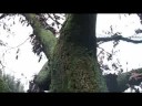 clip01 via selmi 72 - cinemastation (documentario)