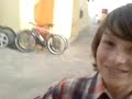 malhos-de-morrer-a-rir.html