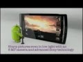 10 top mobiles of February 2012