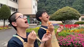 感じろ長谷　味わえ長谷