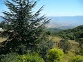 1371MN Monte di Giano, near Massa Martana