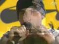 chiens de paille - comme un aimant (live)