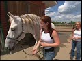 Cavalia RBB
