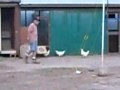 Roster-Pollo-and-chi