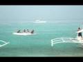 videos de Balicasag Island Sojourn