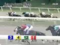 ARLINGTON PARK, 2008-07-19, Race 11