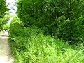Trasee de cicloturism