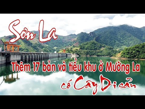 Sơn La: Khám phá 17 Bản và Tiểu khu mới có Cây Di sản tại Huyện Mường La