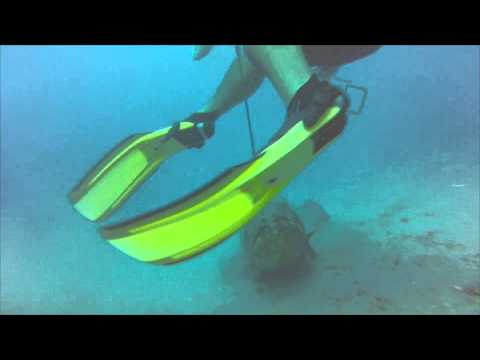 Goliath grouper attacks man near Florida coast