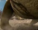 another dinosaur music vid ^___^

video:
walking with trilogy (c) bbc/tim haines
prehistoric park (c) itv/tim haines
primeval (c) itv/tim haines

song:
cha la head cha la (c) hironobu kageyama

please enjoy ^^