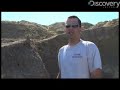 discovery-news.com: plants love dinosaur bones as much as we do ? maybe more! james williams gets the dirt.

for more science news stories, check out http://www.discovery-news.com