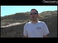 discovery-news.com: plants love dinosaur bones as much as we do ? maybe more! james williams gets the dirt.

for more science news stories, check out http://www.discovery-news.com