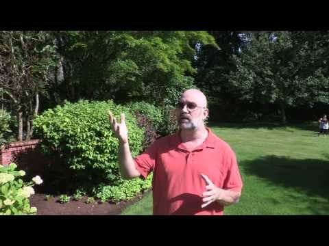 how to become your own boss