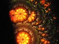 make your own visuals - pt 1 - a real kaliedoscope
