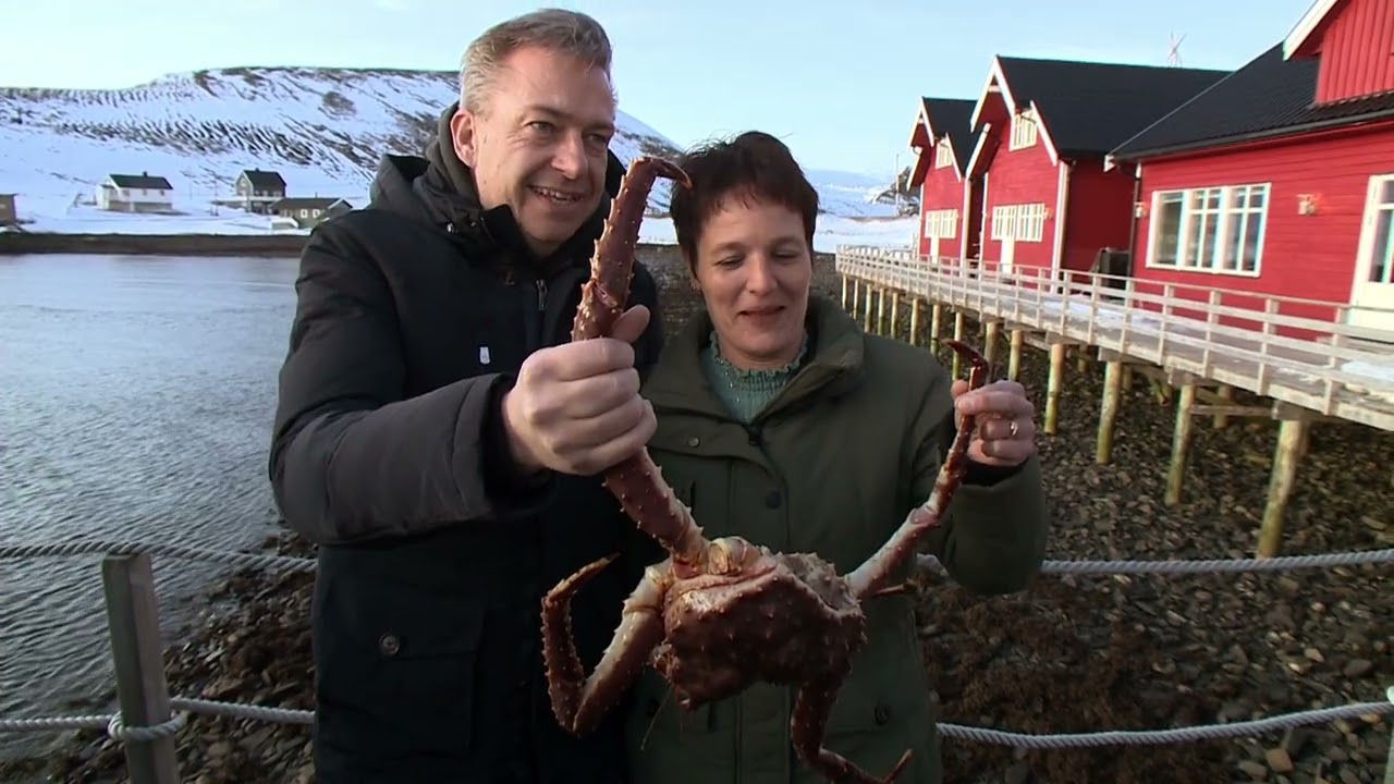 Gestrand voor de Noordkaap