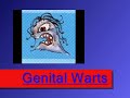 Genital Warts Health Project