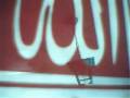 CHAOUIA
