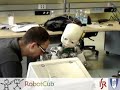 iCub - Multimodal Saliency-Based Attention
