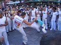 pingo candeias 2008