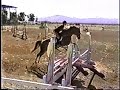 Wilfong Bucking Bulls Hunter Jumper Horse Show Clips Wilfong Bucking Bulls Hunter Jumper Horse Show Clips