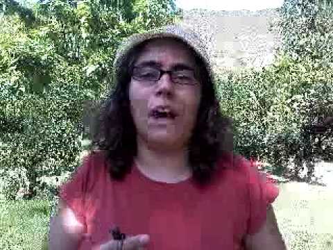 Imagen de previsualización de YouTube