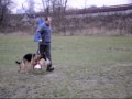 KARIS Equus i FALKO vom Wingerts-Graben