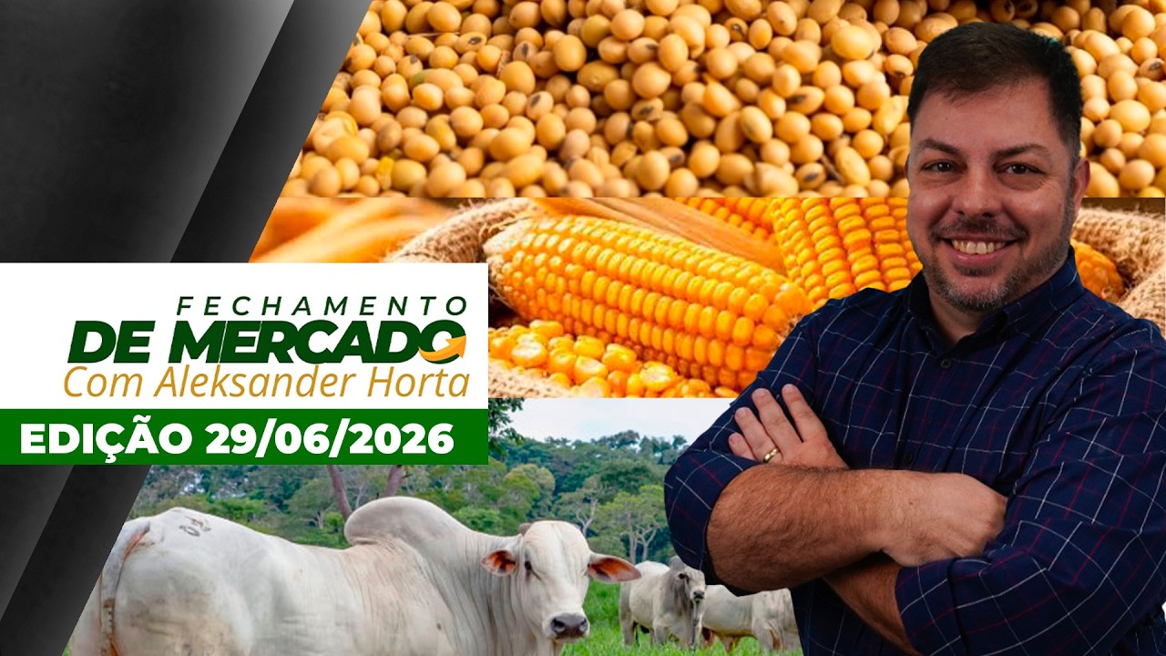 Quedas fortes para soja e milho em Chicago com preparativos para USDA e boa safra nos EUA; Semana...
