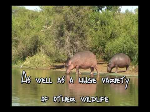 Kruger View Lodge for Backpackers の動画
