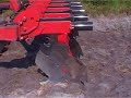 The Timberdisc