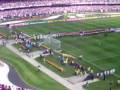 videos de torcida tricolor