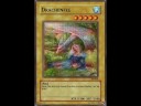 YuGiOh Self Made Cards - #2 Raving Nature (61 Cards)