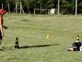 Treino de guarda-redes - queda meia altura