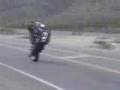 harley wheelie