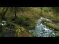Ascending the Giants Trailer